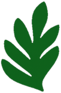 Fernly Health Logo